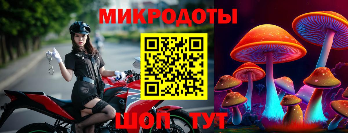 Морозовск  Псилоцибиновые грибы мухоморы  Вход с VPN  как найти   Галлюциногенные грибы Cubensis 